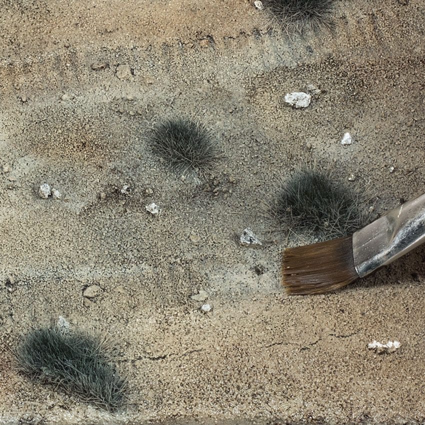Terrains Dry Ground - image 2