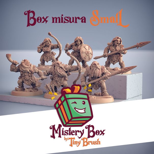Mistery Box Small