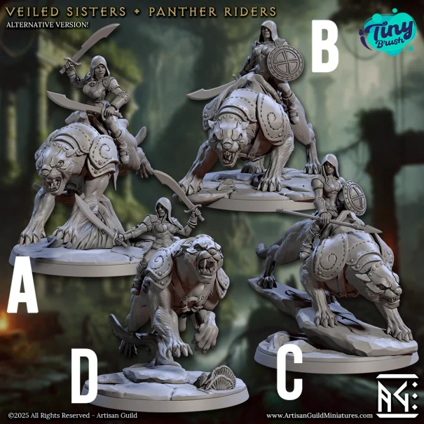 Veiled Sisters Raider (Mod. 1)
